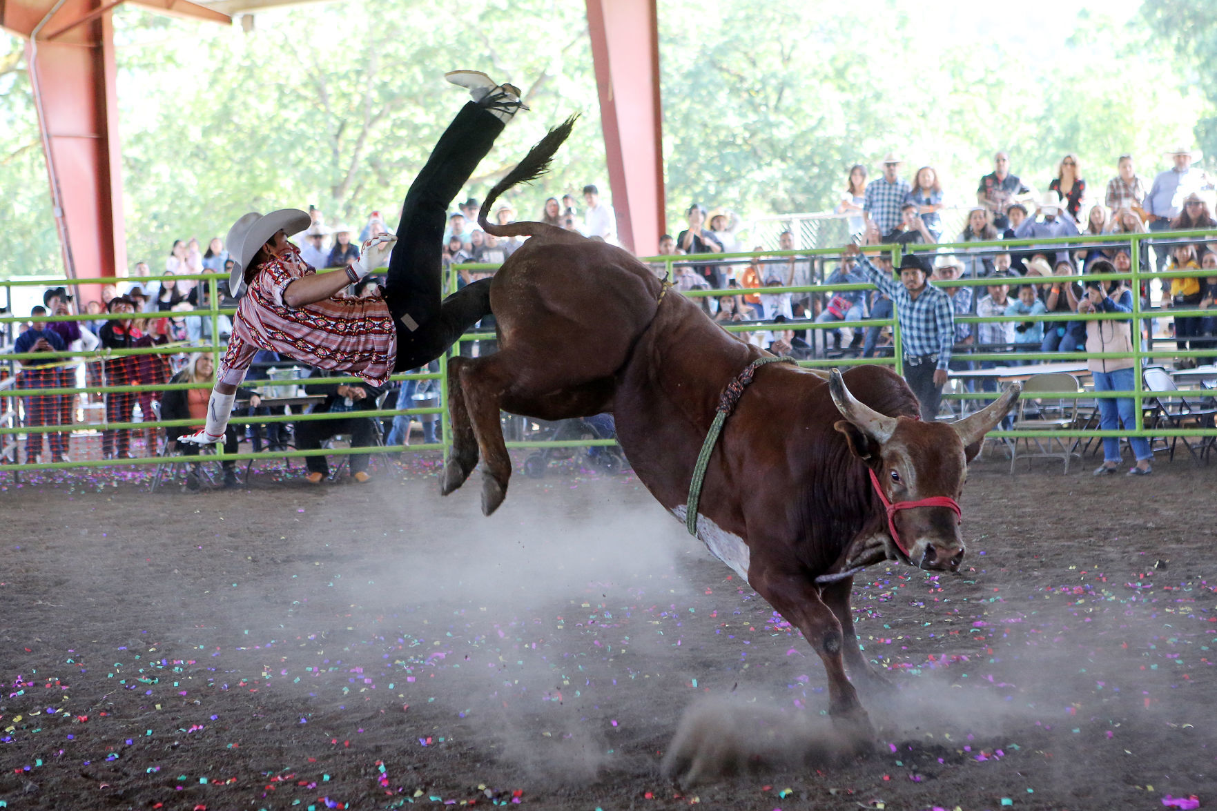 Fair & Fiesta in Calistoga